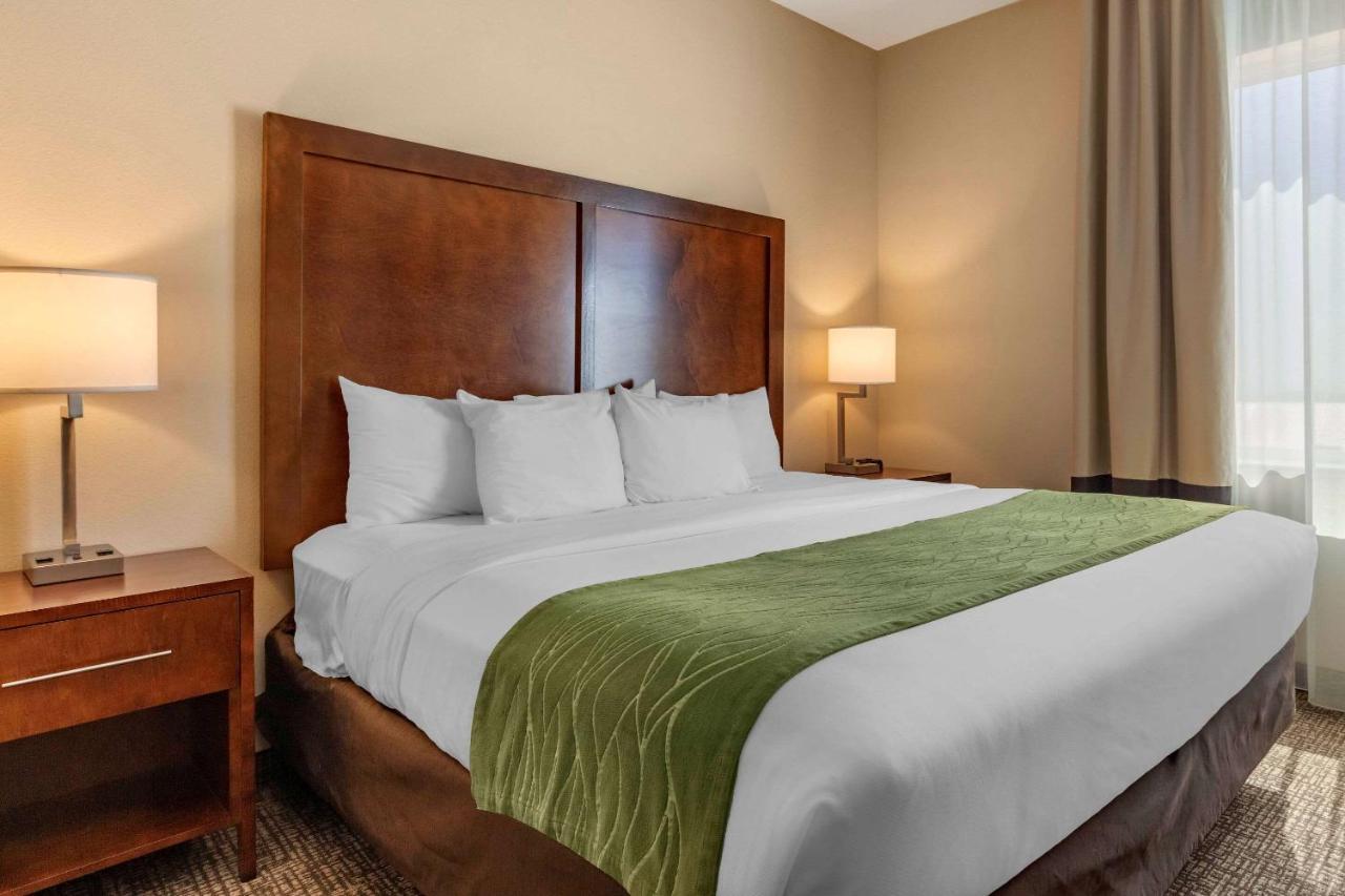 Comfort Inn & Suites Edgewood Zewnętrze zdjęcie