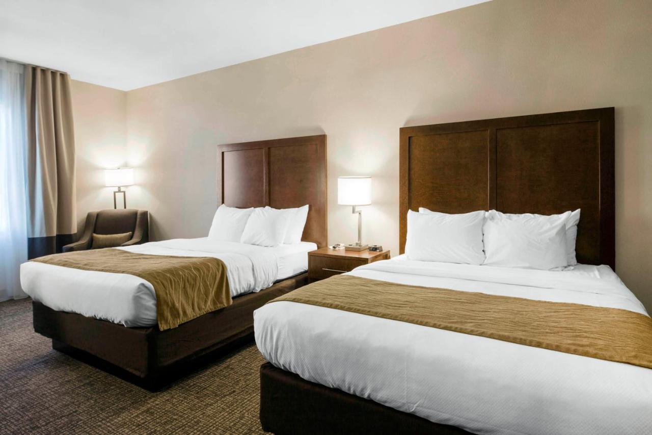 Comfort Inn & Suites Edgewood Zewnętrze zdjęcie